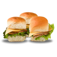 Adult Lunch Turkey 3