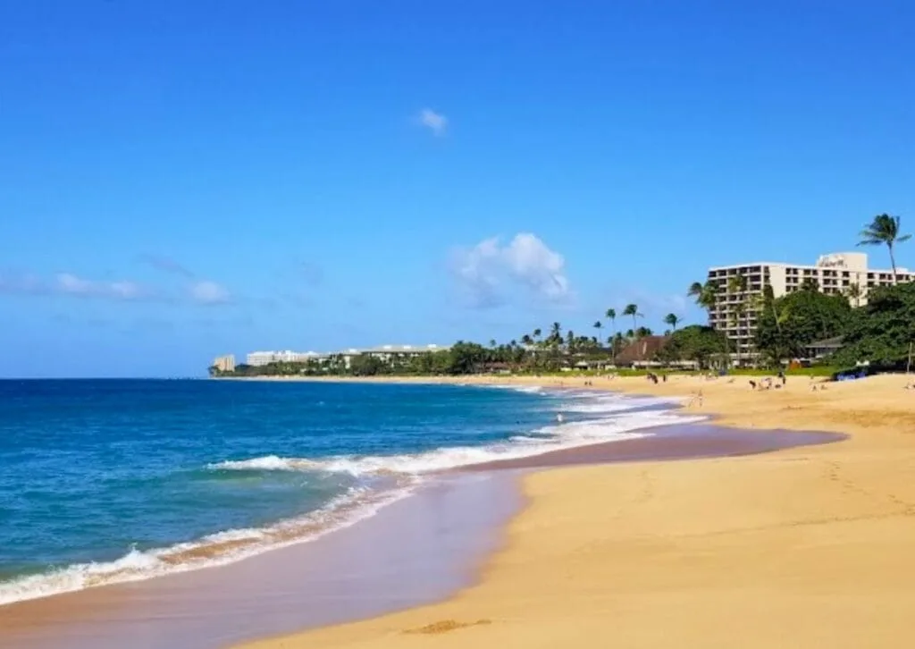 The "Mays Beach Picture" depicts a sunny beach with golden sand, gentle waves, and a clear blue sky. A few people can be seen in the distance, with buildings and palm trees lining the shoreline.