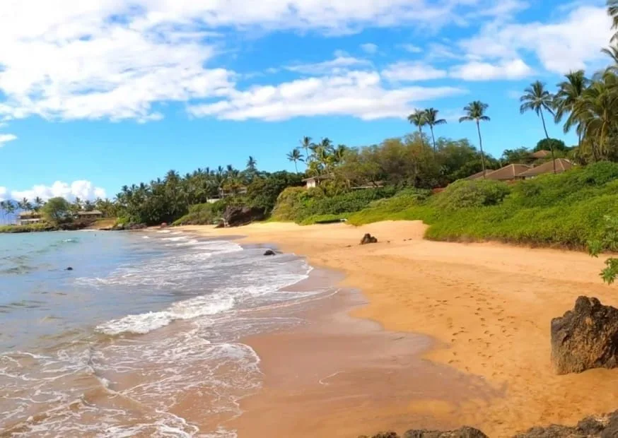 The image titled "poolenalena.jpg" features a sandy beach with gentle waves, rocks in the foreground, and green foliage alongside palm trees lining the shore under a partly cloudy sky.