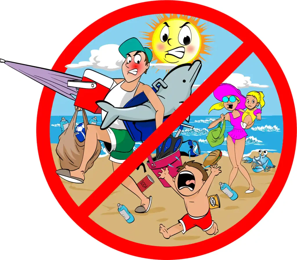better beach gear rentals