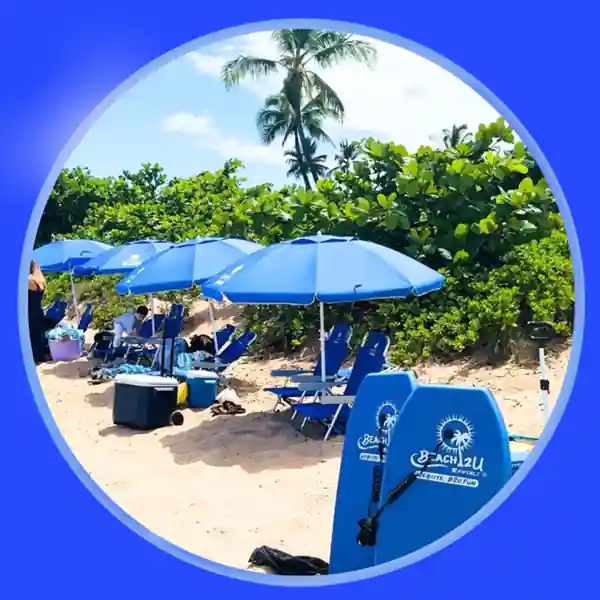 Beach Umbrellas and beach chairs